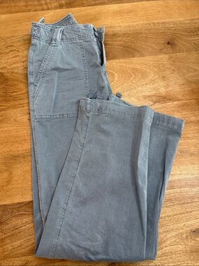 American Eagle Outfitters Men's Gray Chino Pants